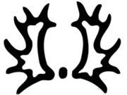 Trakehner stallion presentation – February 8, 2026