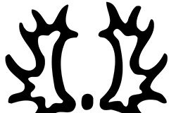 Good news for Trakehner fans….