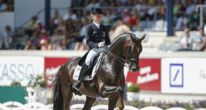 Young horse programmes and competitions