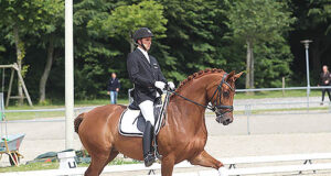 The ups and downs of dressage