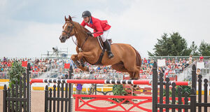 Pan Am bloodlines…