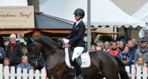 Young-horse stars, or GP stars?