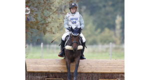 Ups and downs at Le Lion d’Angers