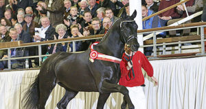 €620,000 for champion