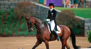 The best dressage horses…?