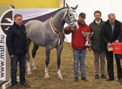 Champion stallion Hampton VDL with owner Istvan Lang Photos: Anett Somogyvari