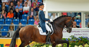 KWPN show searches for sport in pedigrees