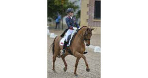 Dressage breeding gone wrong?