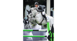 Untouchable: A pedigree mongrel!