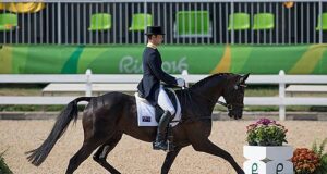 Olympic breeding defies conventional wisdom