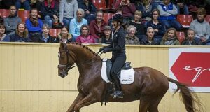 Breeders Trophy for Sweden’s young horses