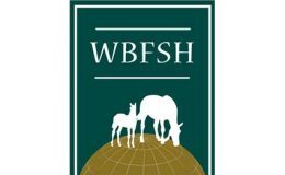 Dressage World Breeding Championship postponed…