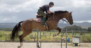 Goodin: More than Balmoral Sensation