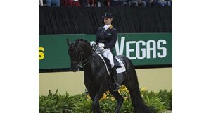 Rideability and talent secured for KWPN