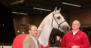 Kirk: Putting Danish breeding on the map