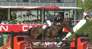 Super Fein Cera: Part 2