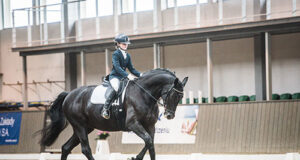 New blood for Poland