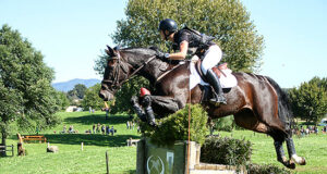 Impressive young Warmbloods at NZ 3DE championships