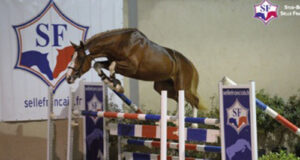 SF qualifying series kicks off