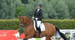 Wonderful Westfalians…