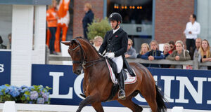 WBCYH: Two out of three for Hanoverians