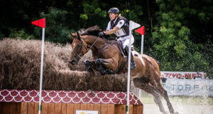 Stamina, fight, heart