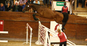 Top prices at Fences auction