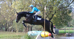 WBCYH victory for Irish Sport Horse studbook