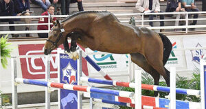 SF Falcone and Eldorado