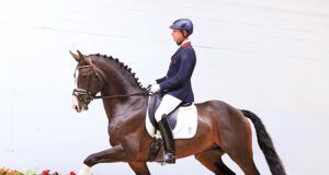 Sale king Kaiser Milton