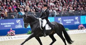 Auction statistics/analysis for 2017