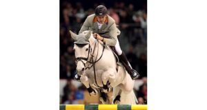 High quality at the BWP stallion expertise