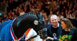 Renewed KWPN stallion show with great champions