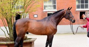 Holsteiner approves seven