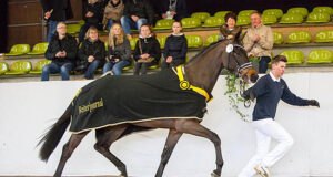 Luis in Love follows Lola