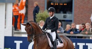 NIS foal sale – new records