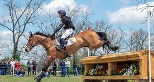 Dream start to 2018 for Irish-breds in four-stars