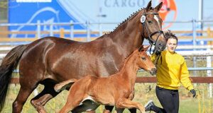 Dancing to the top: Vanellope