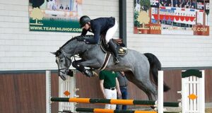 German studbook 14-day stallion tests