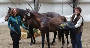 CWHBA 2018 Fall Classic Breeders’ Sale