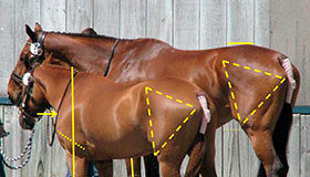 If eventers could design themselves…