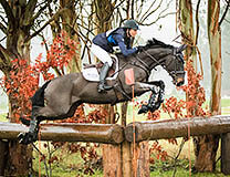 NZ Superleague ‘Sensation’