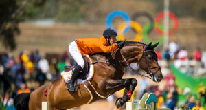 Young jumping horse classes exposed! How quickly history can disappear