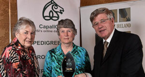 Ireland’s Suma Stud: A four-decade success story