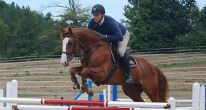 Canadian Warmblood 2018 performance test