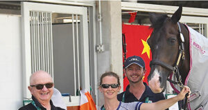 Are Irish breeding fortunes on the rise?