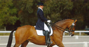 New Zealand Warmblood Association mare upgrades