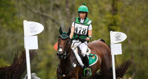 Silver lining for Irish Sport Horse Studbook