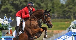 Stallion rankings: It’s that time of year again!