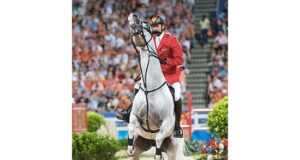 Changing stallion behaviour may come at a risk!